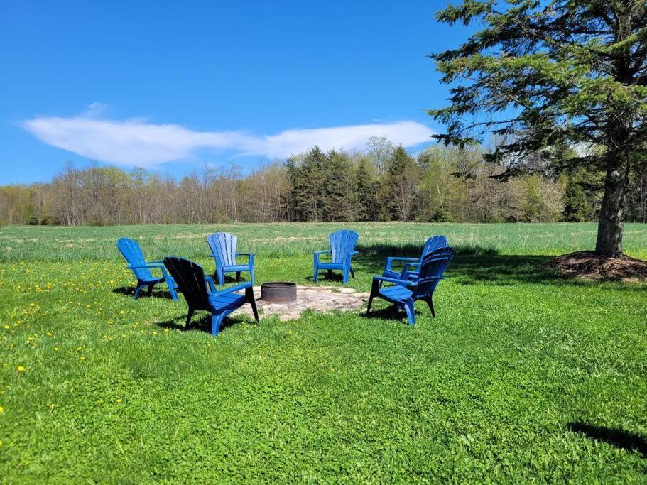 Family Friendly Cottage ☆Walking Distance To Beach Lions Head Eksteriør billede