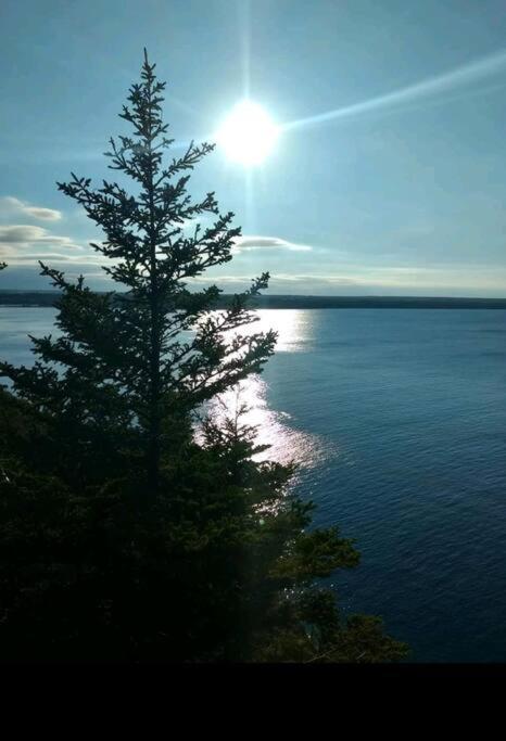 Family Friendly Cottage ☆Walking Distance To Beach Lions Head Eksteriør billede