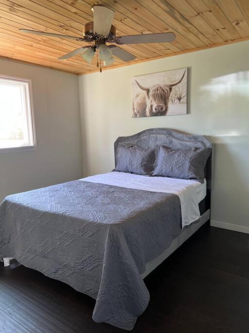Family Friendly Cottage ☆Walking Distance To Beach Lions Head Eksteriør billede
